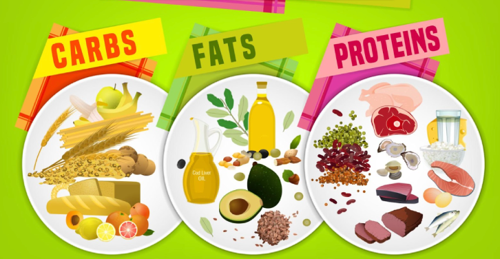 Protein carbs and fats macro breakdown for daily diet